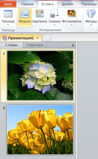 Печать нескольких изображений на одном листе photoshop